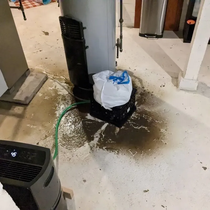 Sewage Backup Cleanup Service in Lolo, MT